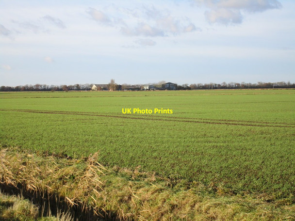Photo 6"x4" View towards Westlands Patrington Haven c2017