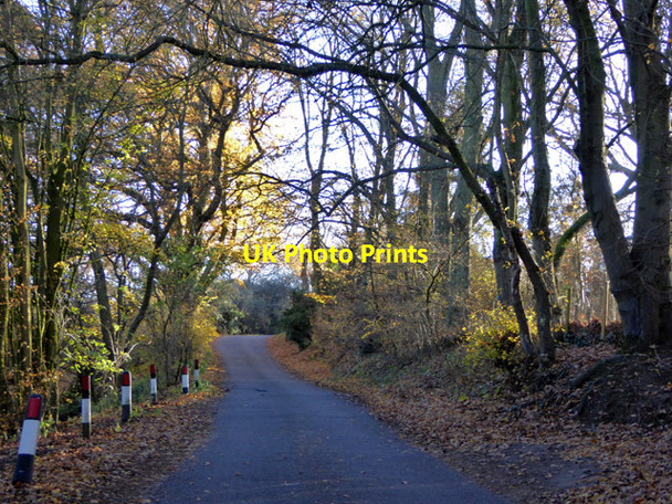 Photo 6"x4" East Lane Dedham Heath c2017