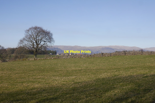 Photo 6"x4" Field, Craigend Craigend\/NS7887 c2017