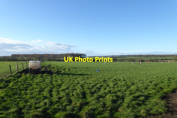 Photo 6"x4" Fields north of Angram Angram\/SE5248 c2017