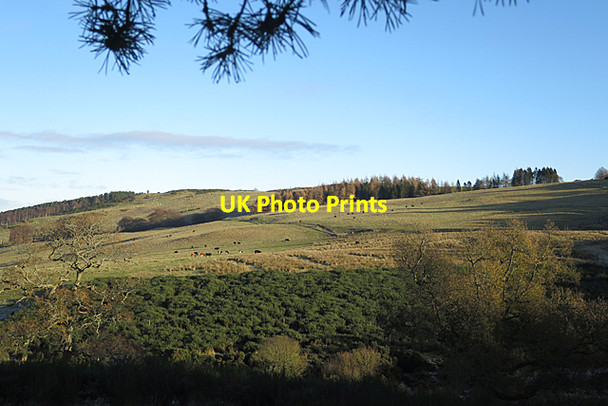 Photo 6"x4" Looking towards Murrayshall Hill Corsiehill c2017