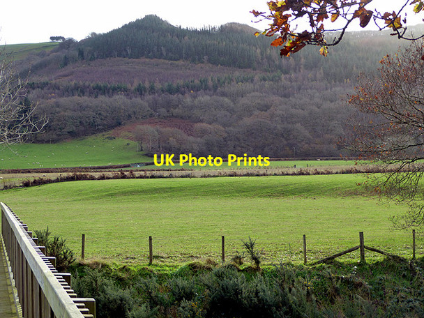 Photo 6"x4" Pasture beside Afon Rheidol Aberffrwd\/SN6878 c2017