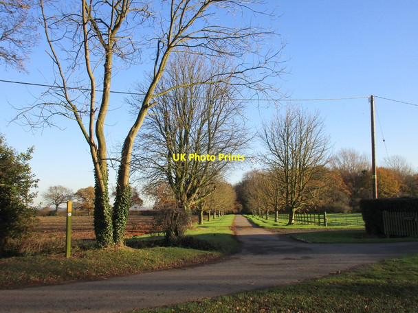 Photo 6"x4" Roadway to Gonalston Lane Gonalston c2017