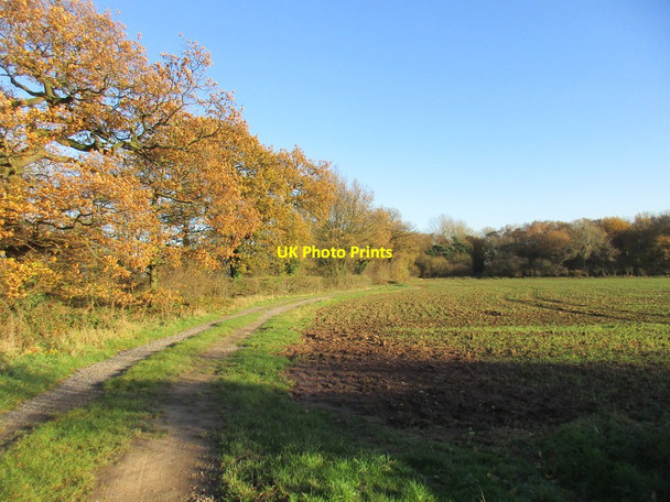 Photo 6"x4" Farm track near Hagg Cottage Gonalston c2017