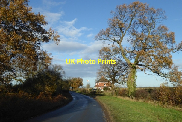 Photo 6"x4" Rudgate near Wharton Lodge Bickerton\/SE4550 c2017