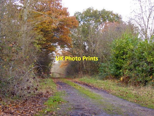 Photo 6"x4" Track with barrier off Newbridge Road Paternoster Heath c2017