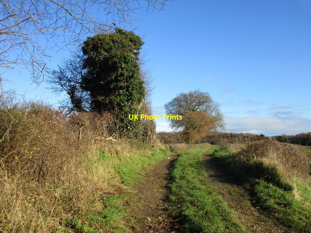 Photo 6"x4" Farm track off Outgang Lane Pleasley c2017