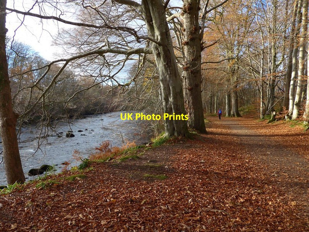 Photo 6"x4" Lady Mary's Walk, Crieff Crieff\/NN8621 c2017