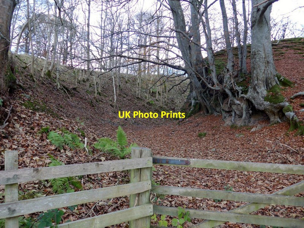 Photo 6"x4" Entrance to the disused Laggan Quarry Crieff\/NN8621 c2017