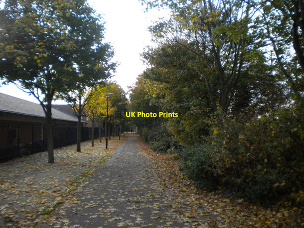Photo 6"x4" Footpath past Beckton bus station Woolwich c2017