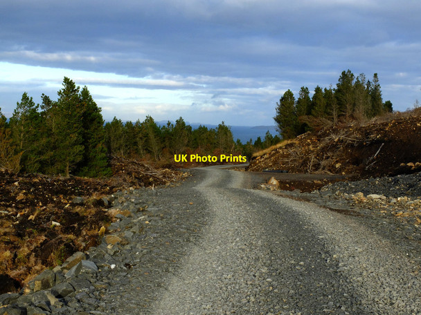 Photo 6"x4" Track entering the south of Waternish Forest Allt Achaidh Bhig c2017