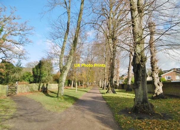 Photo 6"x4" Ampthill, footpath Ampthill c2017