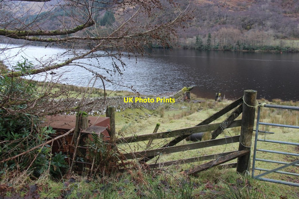 Photo 6"x4" South end of Loch Eck Benmore\/NS1385 c2017