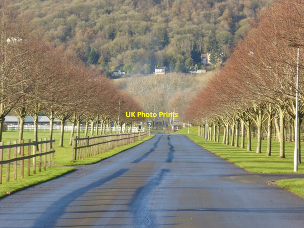 Photo 6"x4" Tree-line entrance road Malvern Common c2017