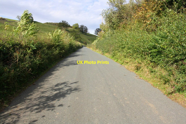 Photo 6"x4" Minor road heading towards Bushy Park passing Rey Wood Clints\/NZ1000 c2017