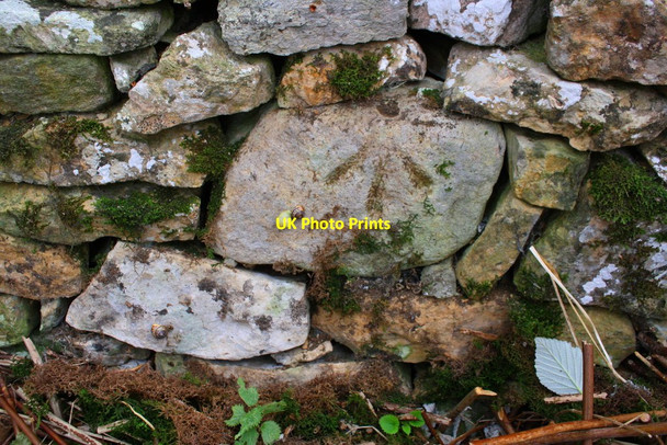 Photo 6"x4" Benchmark on Clapgate Bank wall Clints\/NZ1000 c2017