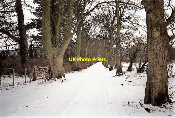 Photo 6"x4" Streatley on Thames Cleeve\/SU6081 c1991