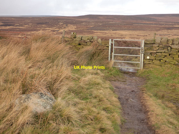 Photo 6"x4" Metal gate, Bingley Moor  East Morton\/SE1042 c2017