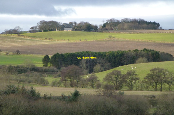 Photo 6"x4" West Kyloe Fenwick\/NU0640 c2017