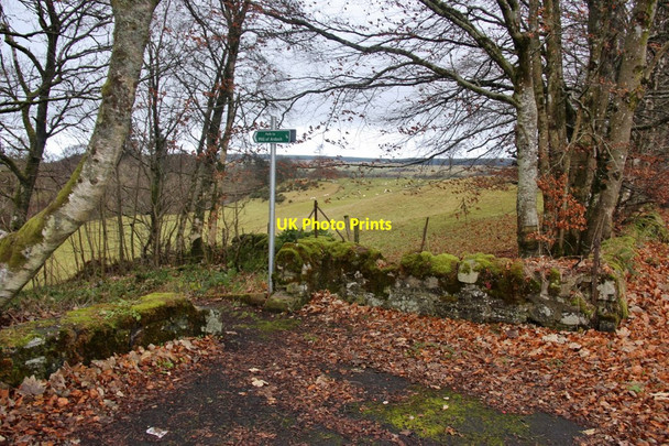 Photo 6"x4" Path to Mill of Ardoch Braco\/NN8309 c2017