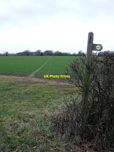 Photo 6"x4" Footpath And Sign Colegate End c2017