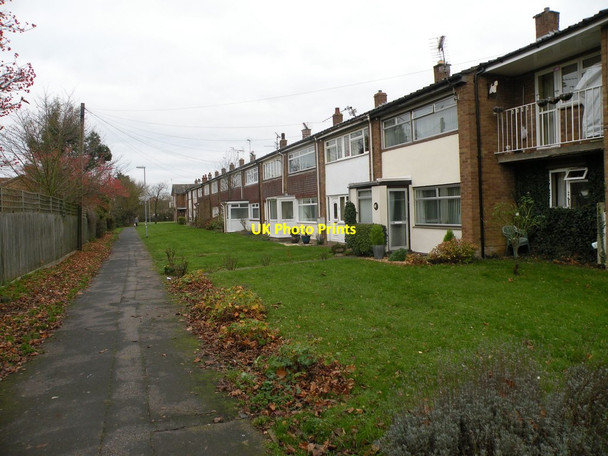 Photo 6"x4" Abbots Way Ely\/TL5480 c2017