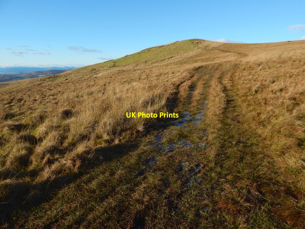 Photo 6"x4" Path to the Doughnot Hill Milton\/NS4274 c2017