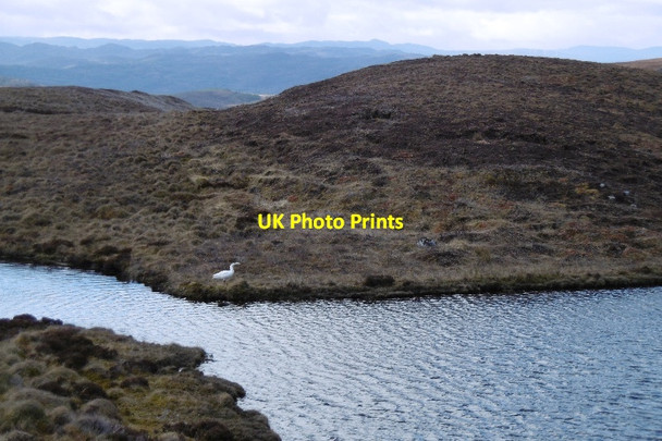 Photo 6"x4" Loch Ballach Loch Ballach c2017 P1