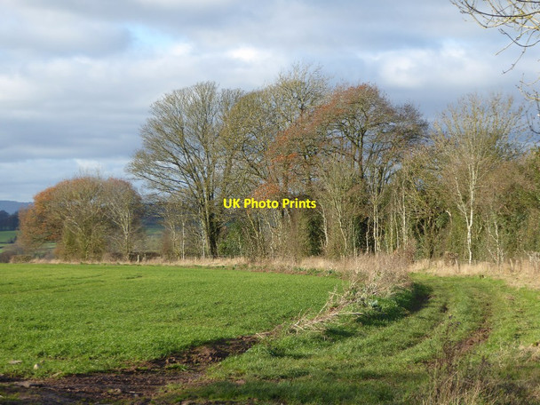 Photo 6"x4" A field headland Hundre c2017