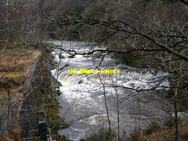 Photo 6"x4" Wild Rheidol Ystumtuen c2017