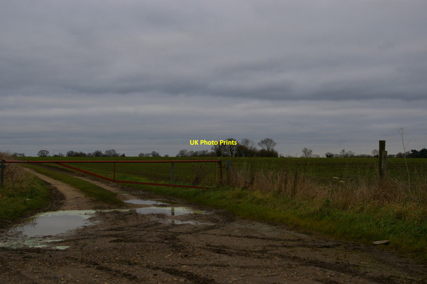 Photo 6"x4" Track running north off the B1119 Saxmundham c2017