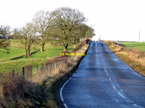 Photo 6"x4" Military Road east of Rudchester Houghton\/NZ1266 c2017