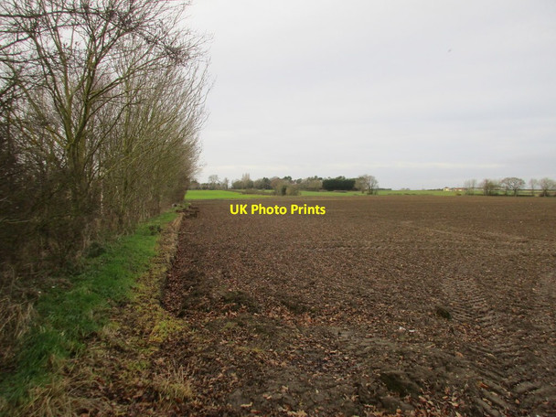 Photo 6"x4" Field edge near the Manor House, Brandesburton Brandesburton c2017