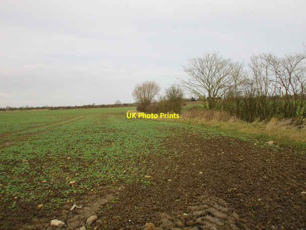 Photo 6"x4" Field edge near Nunkeeling Brandesburton c2017