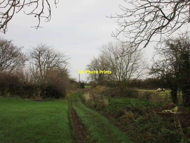 Photo 6"x4" Nicholson Lane Seaton\/TA1646 c2017
