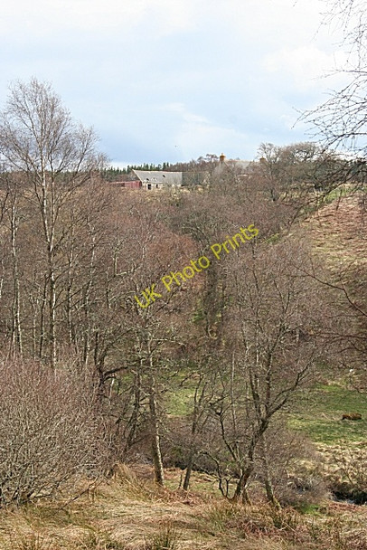 Photo 6"x4" Looking Towards Aultachurn Dallas c2009