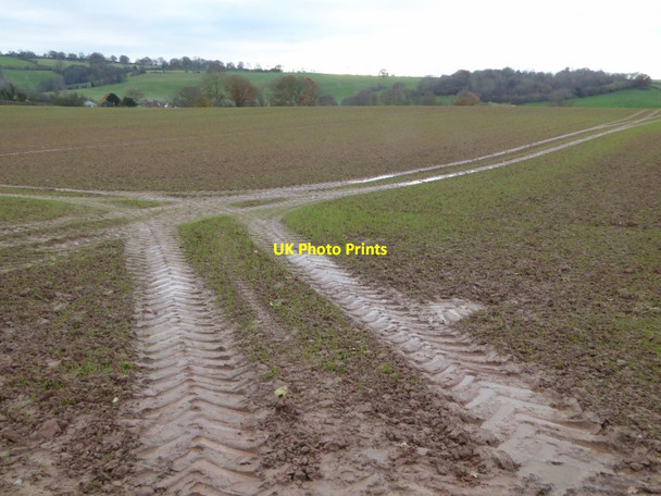 Photo 6"x4" Arable land near St Michaels Berrington Green c2017