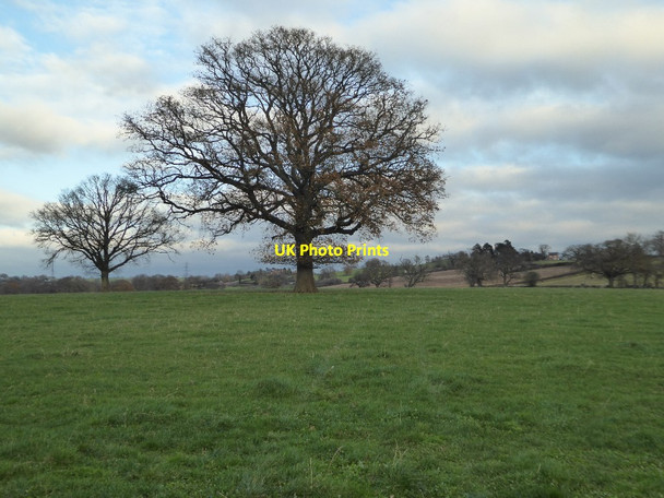 Photo 6"x4" Farmland near Greete Greete c2017