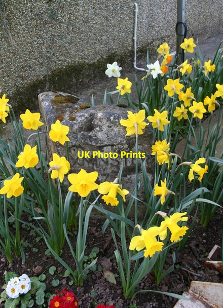Photo 6"x4" Old Milestone by the A35, Mount Pleasant Mount Pleasant\/ST1900 c2012