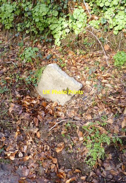 Photo 6"x4" Old Milestone east of Ashford, near Upcott House Barnstaple c2013