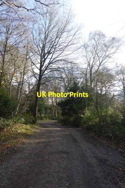 Photo 6"x4" Path on West Heath Hampstead\/TQ2685 c2017