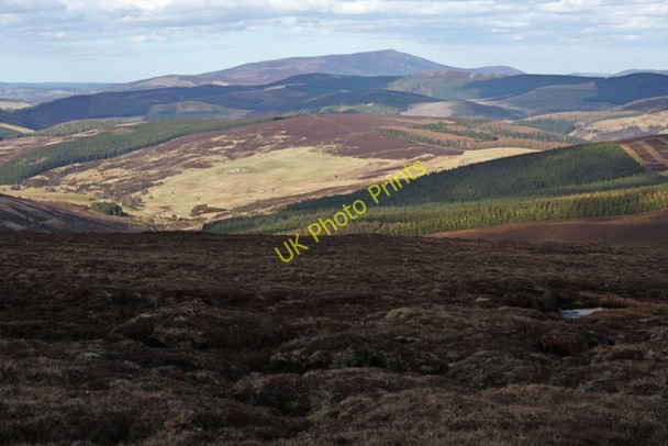 Photo 6"x4" Northern slopes of Carn na Farraidh Burn of Brown c2009