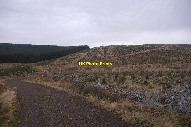 Photo 6"x4" Coalcraigy Hill Carnbo c2017