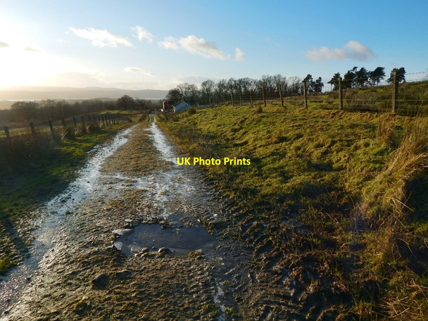 Photo 6"x4" Farm track at Highdykes Alexandria c2017