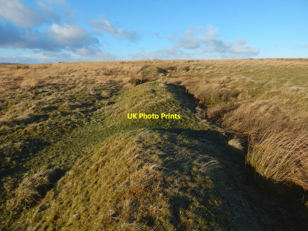 Photo 6"x4" Old boundary Bonhill c2017