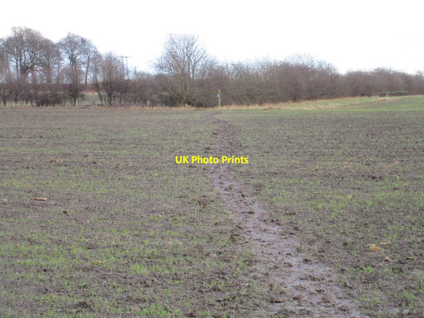 Photo 6"x4" Muddy path Rawmarsh c2017