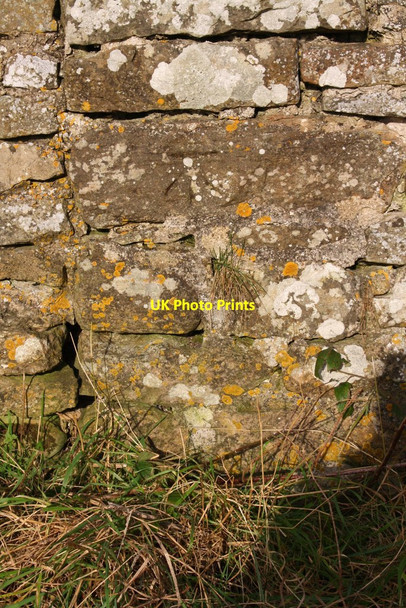 Photo 6"x4" Benchmark on Hurgill Road wall near High Gingerfield Richmond\/NZ1701 c2017