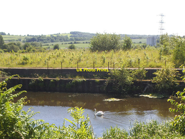 Photo 6"x4" Planted landfill Dewsbury c2017