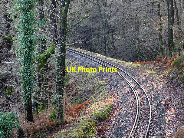 Photo 6"x4" Vale of Rheidol Railway towards Devils' Bridge Devil's Bridge\/Pontarfynach c2017