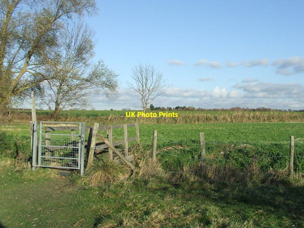 Photo 6"x4" Footbridge And Gate Frog End\/TL5358 c2017